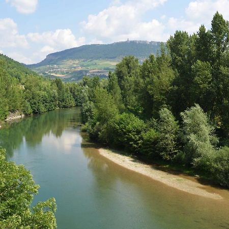 Gite Le P'Tit Rene La Cresse Exterior photo